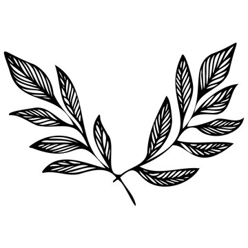 Hand drawn leaves line Symbol visual illustration Tropical Leaves in doodle style. Vector hand drawn black line design elements. Exotic summer botanical illustrations. Monstera leaves, palm leaves