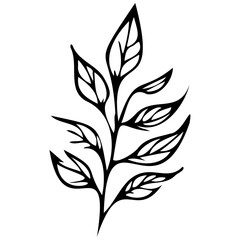 Fototapeta premium Hand drawn leaves line Symbol visual illustration Tropical Leaves in doodle style. Vector hand drawn black line design elements. Exotic summer botanical illustrations. Monstera leaves, palm leaves