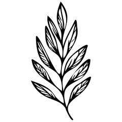 Hand drawn leaves line Symbol visual illustration Tropical Leaves in doodle style. Vector hand drawn black line design elements. Exotic summer botanical illustrations. Monstera leaves, palm leaves