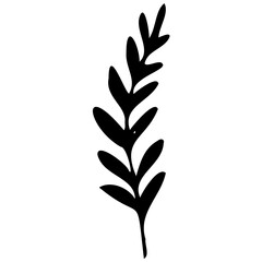 Hand drawn leaves line Symbol visual illustration Tropical Leaves in doodle style. Vector hand drawn black line design elements. Exotic summer botanical illustrations. Monstera leaves, palm leaves