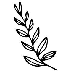 Hand drawn leaves line Symbol visual illustration Tropical Leaves in doodle style. Vector hand drawn black line design elements. Exotic summer botanical illustrations. Monstera leaves, palm leaves