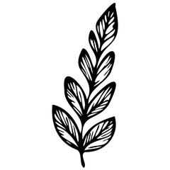 Hand drawn leaves line Symbol visual illustration Tropical Leaves in doodle style. Vector hand drawn black line design elements. Exotic summer botanical illustrations. Monstera leaves, palm leaves
