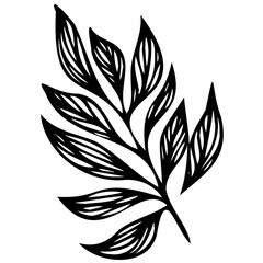 Hand drawn leaves line linear black strock Symbol visual illustration Minimal botanical hand drawing design for logo and wedding invitation. Floral line art. Flower and leaves Element