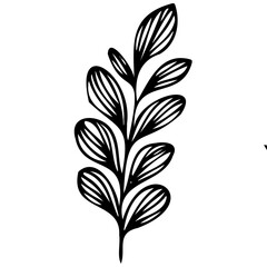 Hand drawn leaves line linear black strock Symbol visual illustration Minimal botanical hand drawing design for logo and wedding invitation. Floral line art. Flower and leaves Element