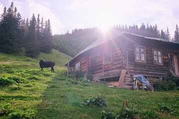 Summer in the Carpathian Mountains. Beautiful landscape with green valley and wooden house.
