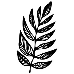 Hand drawn leaves line linear black strock Symbol visual illustration Minimal botanical hand drawing design for logo and wedding invitation. Floral line art. Flower and leaves Element