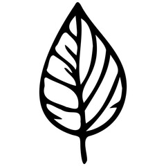 Hand drawn leaves line linear black strock Symbol visual illustration Botanical linear flower set. Abstract creative floral collection, minimalist flowery art for print, tattoo. Vector illustration