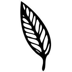 Hand drawn leaves line linear black strock Symbol visual illustration Botanical drawing. Minimal plant logo, meadow greenery, leaf and blooming flower abstract sketch element collection, linear rustic