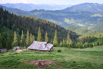 Beautiful summer mountains landscape with green pastureland view and old wooden house. Carpathians, Ukraine.