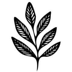 Hand drawn leaves line linear black strock Symbol visual illustration Botanical drawing. Minimal plant logo, meadow greenery, leaf and blooming flower abstract sketch element collection, linear rustic