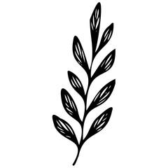 Hand drawn leaves line linear black strock Symbol visual illustration Botanical drawing. Minimal plant logo, meadow greenery, leaf and blooming flower abstract sketch element collection, linear rustic