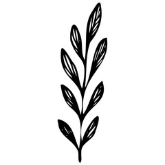 Hand drawn leaves line linear black strock Symbol visual illustration Botanical drawing. Minimal plant logo, meadow greenery, leaf and blooming flower abstract sketch element collection, linear rustic