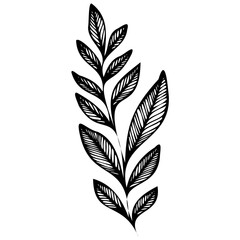 Hand drawn leaves line linear black strock Symbol visual illustration Botanical drawing. Minimal plant logo, meadow greenery, leaf and blooming flower abstract sketch element collection, linear rustic
