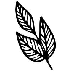 Hand drawn leaves line linear black strock Symbol visual illustration Botanical drawing. Minimal plant logo, meadow greenery, leaf and blooming flower abstract sketch element collection, linear rustic