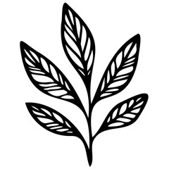 Hand drawn leaves line linear black strock Symbol visual illustration Botanical drawing. Minimal plant logo, meadow greenery, leaf and blooming flower abstract sketch element collection, linear rustic