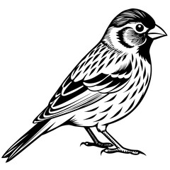Obraz premium Finch Silhouette Vector illustration.