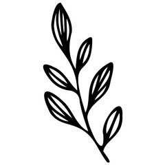 Hand drawn leaves line linear black Strock Symbol visual illustration Wild plant leaves hand drawn black on white background. Forest branch silhouette