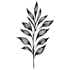 Hand drawn leaves Symbol visual illustration Tropical Leaves in doodle style. Vector hand drawn black line design elements. Exotic summer botanical illustrations. Monstera leaves, palm, banana leaf