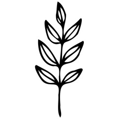 Hand drawn leaves Symbol visual illustration Tropical Leaves in doodle style. Vector hand drawn black line design elements. Exotic summer botanical illustrations. Monstera leaves, palm, banana leaf