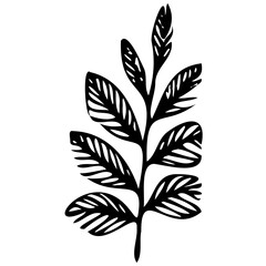 Hand drawn leaves Symbol visual illustration Tropical Leaves in doodle style. Vector hand drawn black line design elements. Exotic summer botanical illustrations. Monstera leaves, palm, banana leaf