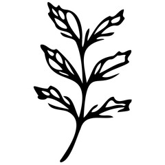 Hand drawn leaves Symbol visual illustration Tropical Leaves in doodle style. Vector hand drawn black line design elements. Exotic summer botanical illustrations. Monstera leaves, palm, banana leaf