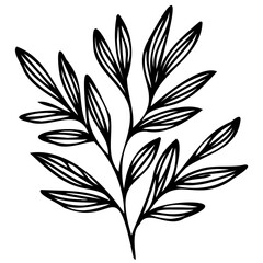 Hand drawn leaves Symbol visual illustration Tropical Leaves in doodle style. Vector hand drawn black line design elements. Exotic summer botanical illustrations. Monstera leaves, palm, banana leaf