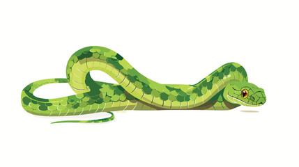 Cartoon green snake on white background flat vector is
