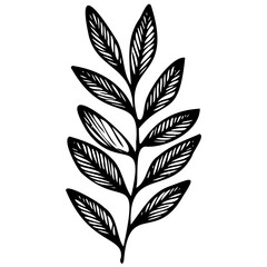 Hand drawn leaves line Symbol visual illustration Floral branch and minimalist flowers for logo or tattoo. Hand drawn line wedding herb, elegant leaves for invitation Botanical rustic trendy greenery