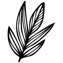Hand drawn leaves line Symbol visual illustration Floral branch and minimalist flowers for logo or tattoo. Hand drawn line wedding herb, elegant leaves for invitation Botanical rustic trendy greenery