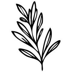 Hand drawn leaves line Symbol visual illustration Floral branch and minimalist flowers for logo or tattoo. Hand drawn line wedding herb, elegant leaves for invitation Botanical rustic trendy greenery