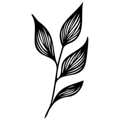 Hand drawn leaves line Symbol visual illustration Floral branch and minimalist flowers for logo or tattoo. Hand drawn line wedding herb, elegant leaves for invitation Botanical rustic trendy greenery