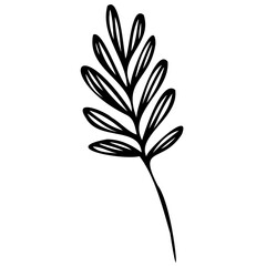 Hand drawn leaves line Symbol visual illustration Floral branch and minimalist flowers for logo or tattoo. Hand drawn line wedding herb, elegant leaves for invitation Botanical rustic trendy greenery