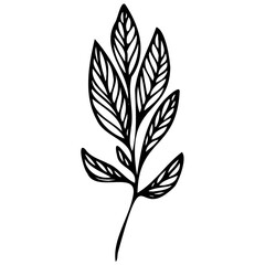 Hand drawn leaves line Symbol visual illustration Floral branch and minimalist flowers for logo or tattoo. Hand drawn line wedding herb, elegant leaves for invitation Botanical rustic trendy greenery
