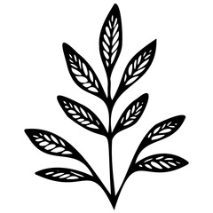 Hand drawn leaves line linear Symbol visual illustration Tropical Leaves in doodle style. Vector hand drawn black line design elements. Exotic summer botanical illustrations. Monstera leaves, palm, 