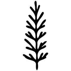 Hand drawn leaves line linear Symbol visual illustration Tropical Leaves in doodle style. Vector hand drawn black line design elements. Exotic summer botanical illustrations. Monstera leaves, palm, 