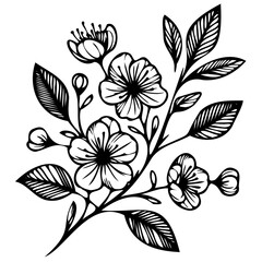 Hand drawn leaves line linear black strock Symbol visual illustration Hand drawn leaves line linear black Strock Symbol visual illustration hand drawn curly grass and on white background