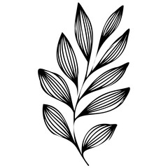 Hand drawn leaves line linear black strock Symbol visual illustration Hand drawn leaves line linear black Strock Symbol visual illustration hand drawn curly grass and on white background