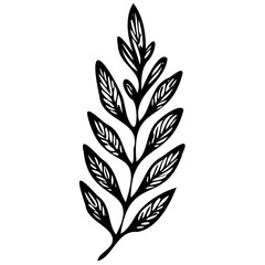 Hand drawn leaves line linear black strock Symbol visual illustration Hand drawn leaves line linear black Strock Symbol visual illustration hand drawn curly grass and on white background