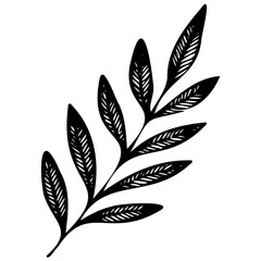 Hand drawn leaves line linear black Strock Symbol visual illustration Hand drawn leaves line linear black Strock Symbol visual illustration hand drawn curly grass and on white background
