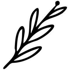 Hand drawn leaves line linear black Strock Symbol visual illustration Hand drawn leaves line linear black Strock Symbol visual illustration hand drawn curly grass and on white background