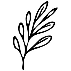 Hand drawn leaves line linear black strock Symbol visual illustration hand drawn curly grass and flowers on white isolated background. Botanical illustration. Decorative floral