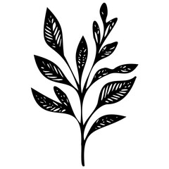 Hand drawn leaves line linear black strock Symbol visual illustration hand drawn curly grass and flowers on white isolated background. Botanical illustration. Decorative floral