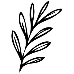 Hand drawn leaves line linear black strock Symbol visual illustration hand drawn curly grass and flowers on white isolated background. Botanical illustration. Decorative floral