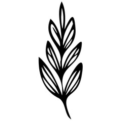 Hand drawn leaves line linear black strock Symbol visual illustration hand drawn curly grass and flowers on white isolated background. Botanical illustration. Decorative floral