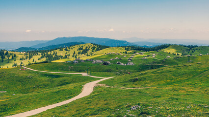 Landscape View in the mountains of Big Pasture Plateau or Velika Planina, Slovenia - 773973421