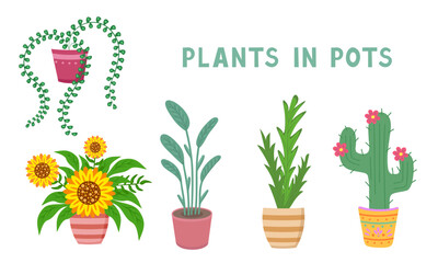 plant in pot set, sunflower, cactus. Vector Illustration for printing, background, cover and packaging. Image can be used for greeting card, poster, sticker and textile. Isolated on white background.