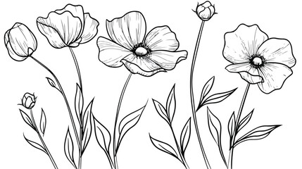 Flower Coloring Page Flower Line Art Vector. Flower Li - obrazy, fototapety, plakaty