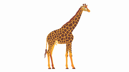 Giraffe Vector flat illustration art flat vector isolated