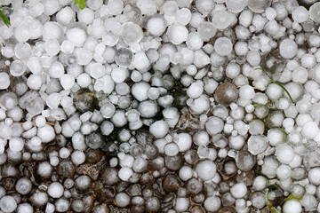 Hailstones on the ground in close up