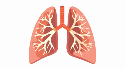 Healthy lungs inside on white background flat vector isolated